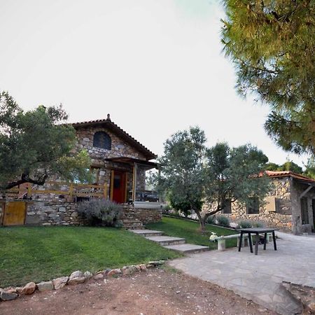 Kladi House Renovated 2023 Villa Nikiti  Dış mekan fotoğraf