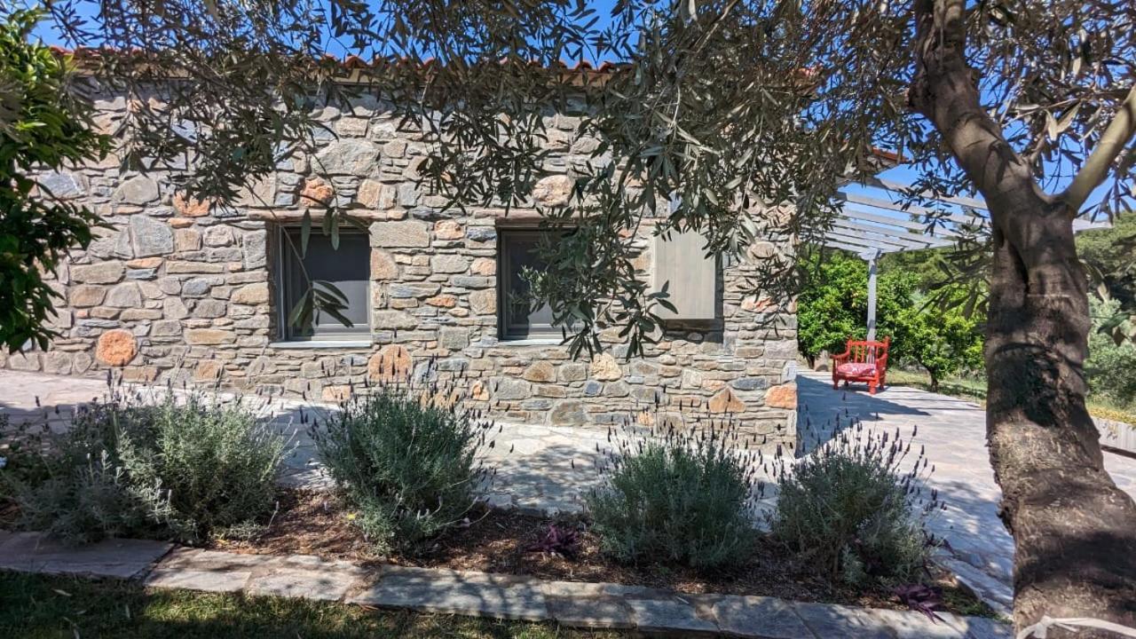 Kladi House Renovated 2023 Villa Nikiti  Dış mekan fotoğraf