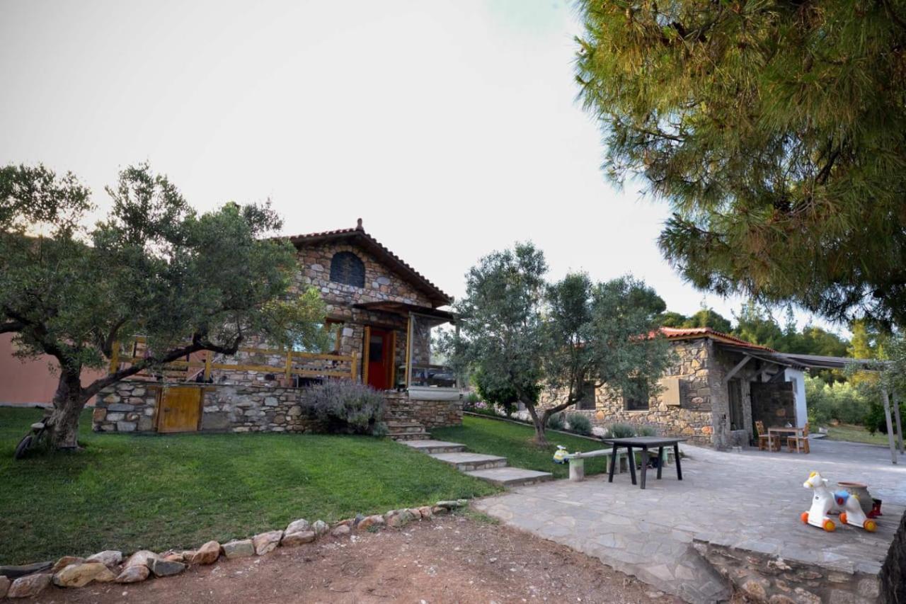 Kladi House Renovated 2023 Villa Nikiti  Dış mekan fotoğraf