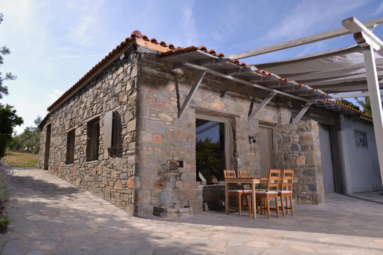 Kladi House Renovated 2023 Villa Nikiti  Dış mekan fotoğraf