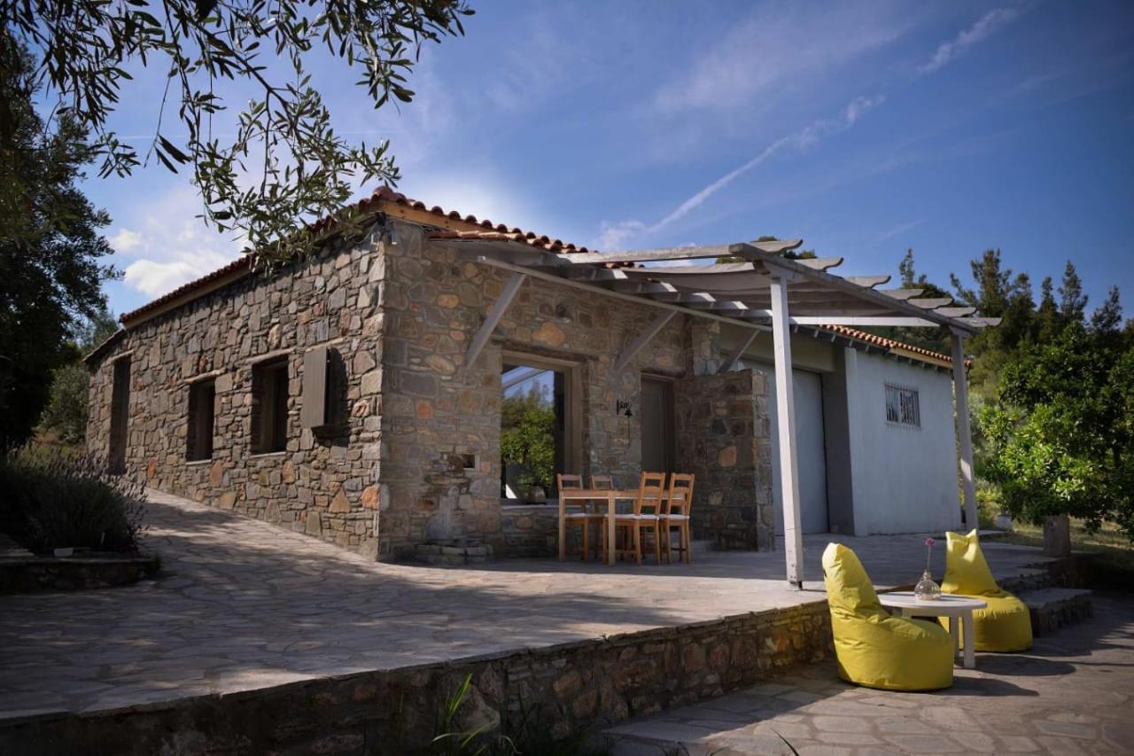 Kladi House Renovated 2023 Villa Nikiti  Dış mekan fotoğraf
